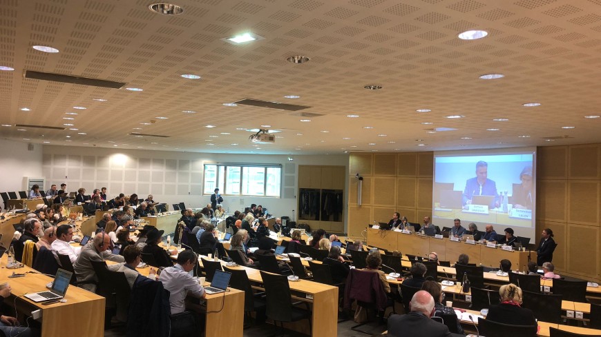 Future priorities, interactions with the Council of Europe, new committee for the European Social Charter, history education and other highlights of CINGO’s autumn session